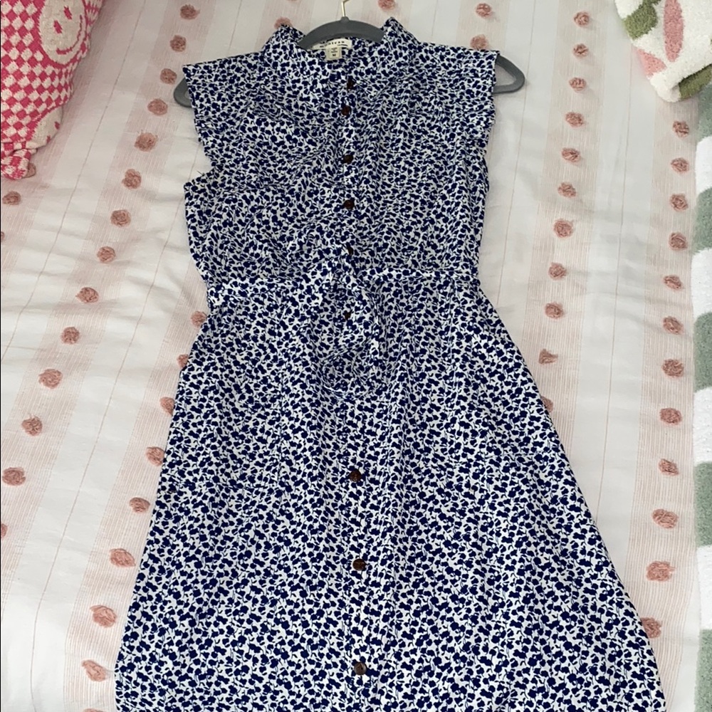 Floral Blue and White Sleeveless Dress